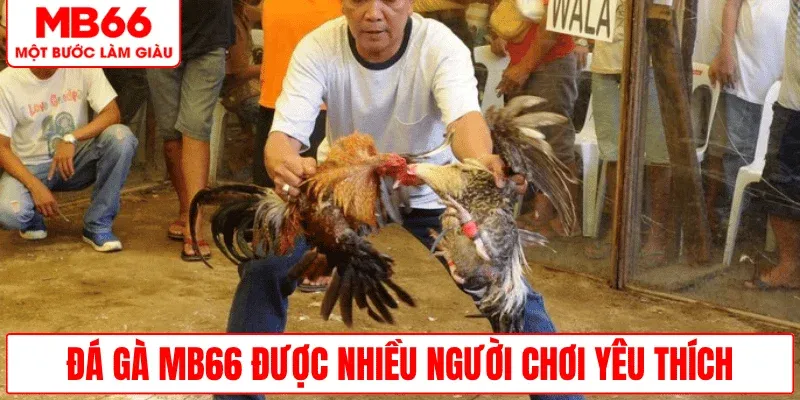 da-ga-mb66-duoc-nguoi-choi-ua-chuong