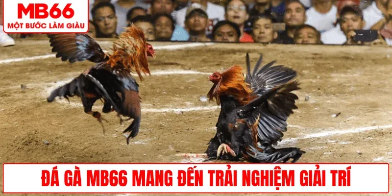 da-ga-mb66-trai-nghiem-giai-tri-hap-dan