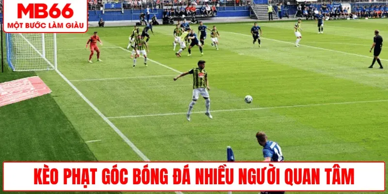 keo-phat-goc-bong-da-duoc-quan-tam-nhieu