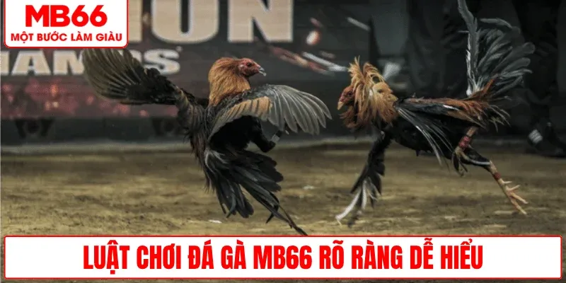 luat-choi-da-ga-mb66-ro-rang-de-hieu