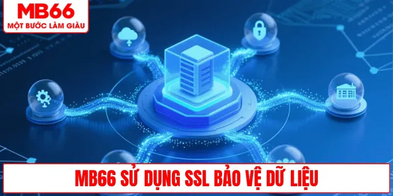 ssl-bao-ve-du-lieu-nguoi-dung-an-toan-toi-uu
