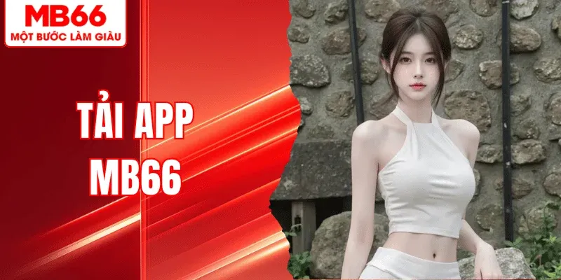tai-app-mb66