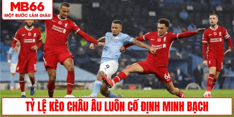 ty-le-keo-chau-au-co-dinh-minh-bach-ro-rang